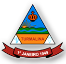 Sistema de Documentos  - Câmara Turmalina